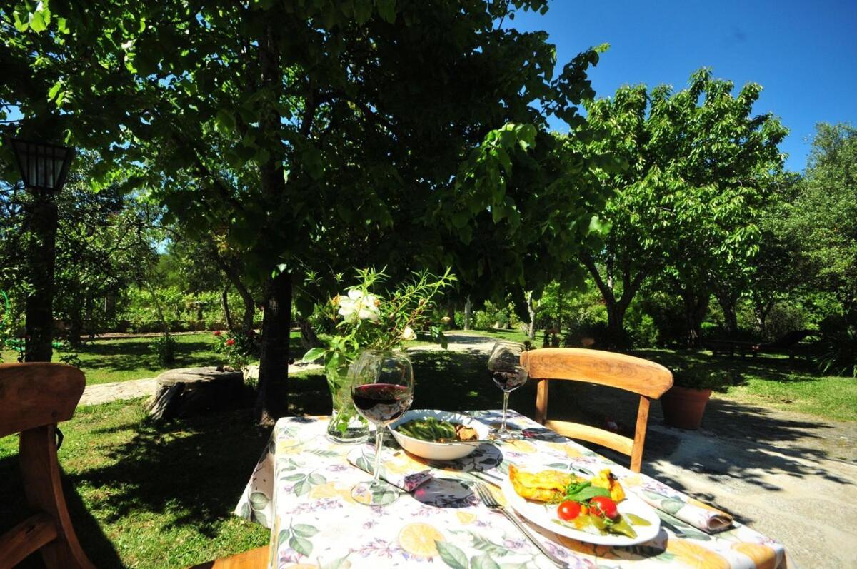 Villa Casas De Santiago à Vila Nova de Cerveira Extérieur photo